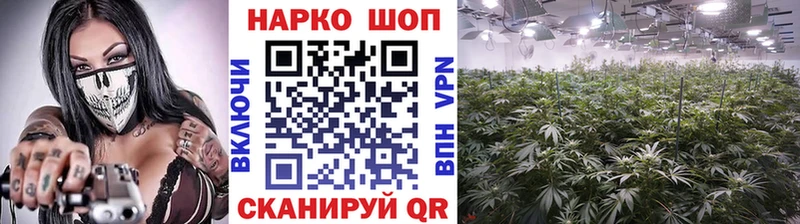 Какие есть наркотики Камбарка Псилоцибиновые грибы  АМФЕТАМИН  Альфа ПВП  Гашиш  Меф  Cocaine 